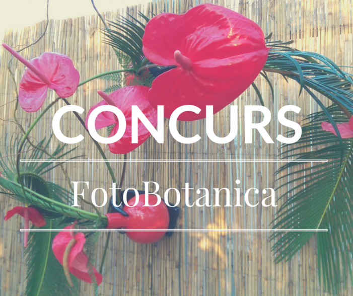 Concurs: FotoBotanica