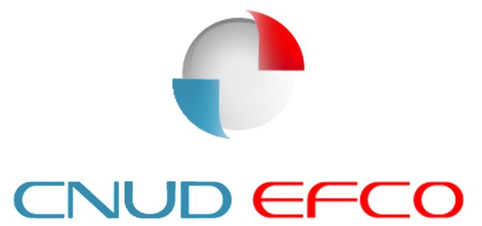 CNUD-EFCO România angajează Asistent import-export