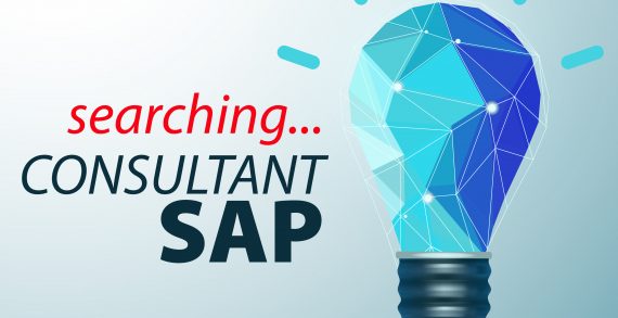 Red Point angajează Consultant SAP
