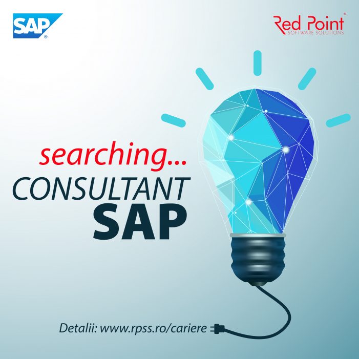 Red Point angajează Consultant SAP
