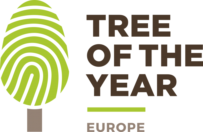 Românii pot vota arborele european al anului