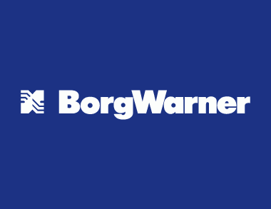 Oportunități de practică la BorgWarner în Departamentul Financiar